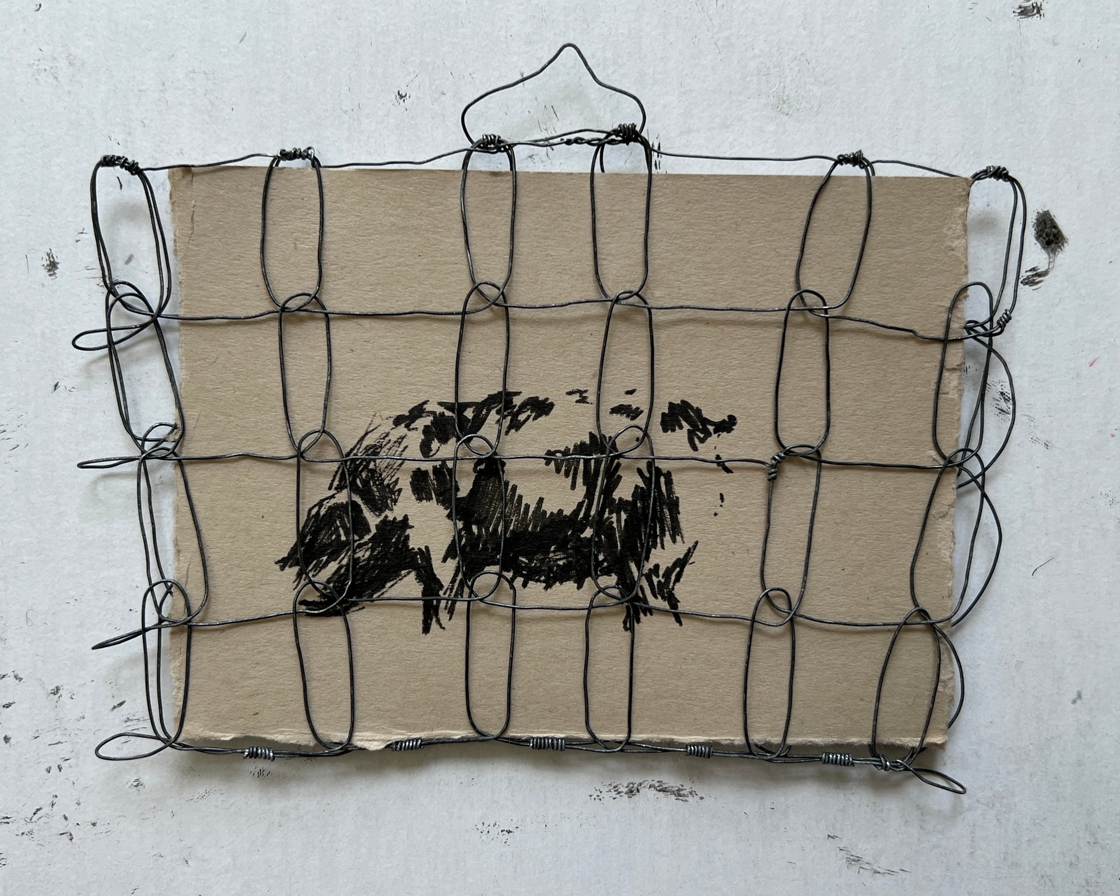 Wire Frame no. 4 for Pig Study no. 16