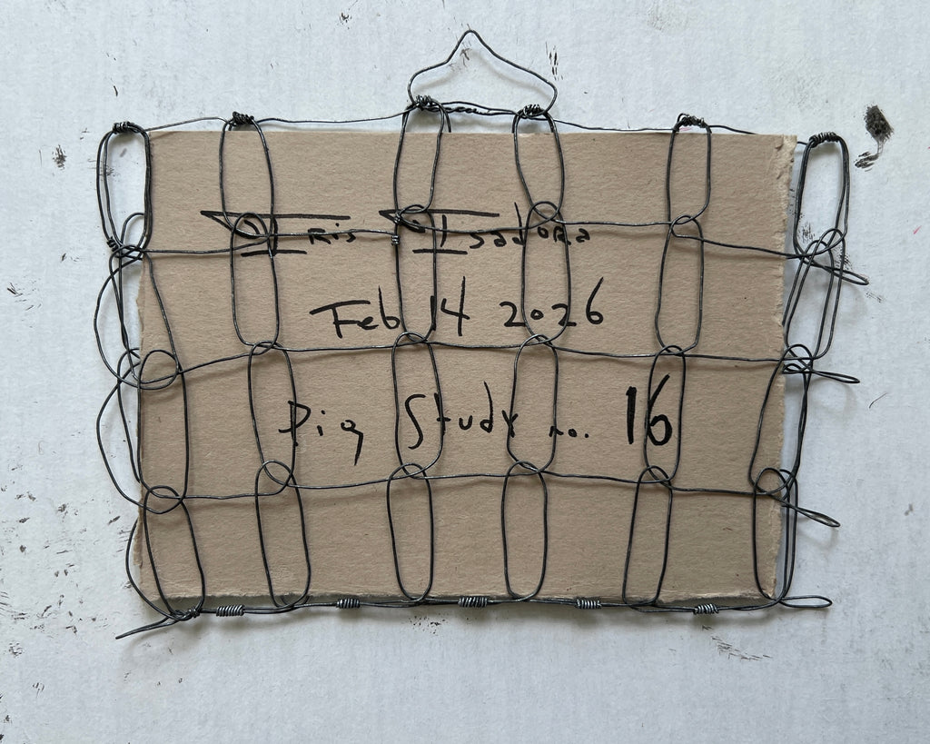 Wire Frame no. 4 for Pig Study no. 16