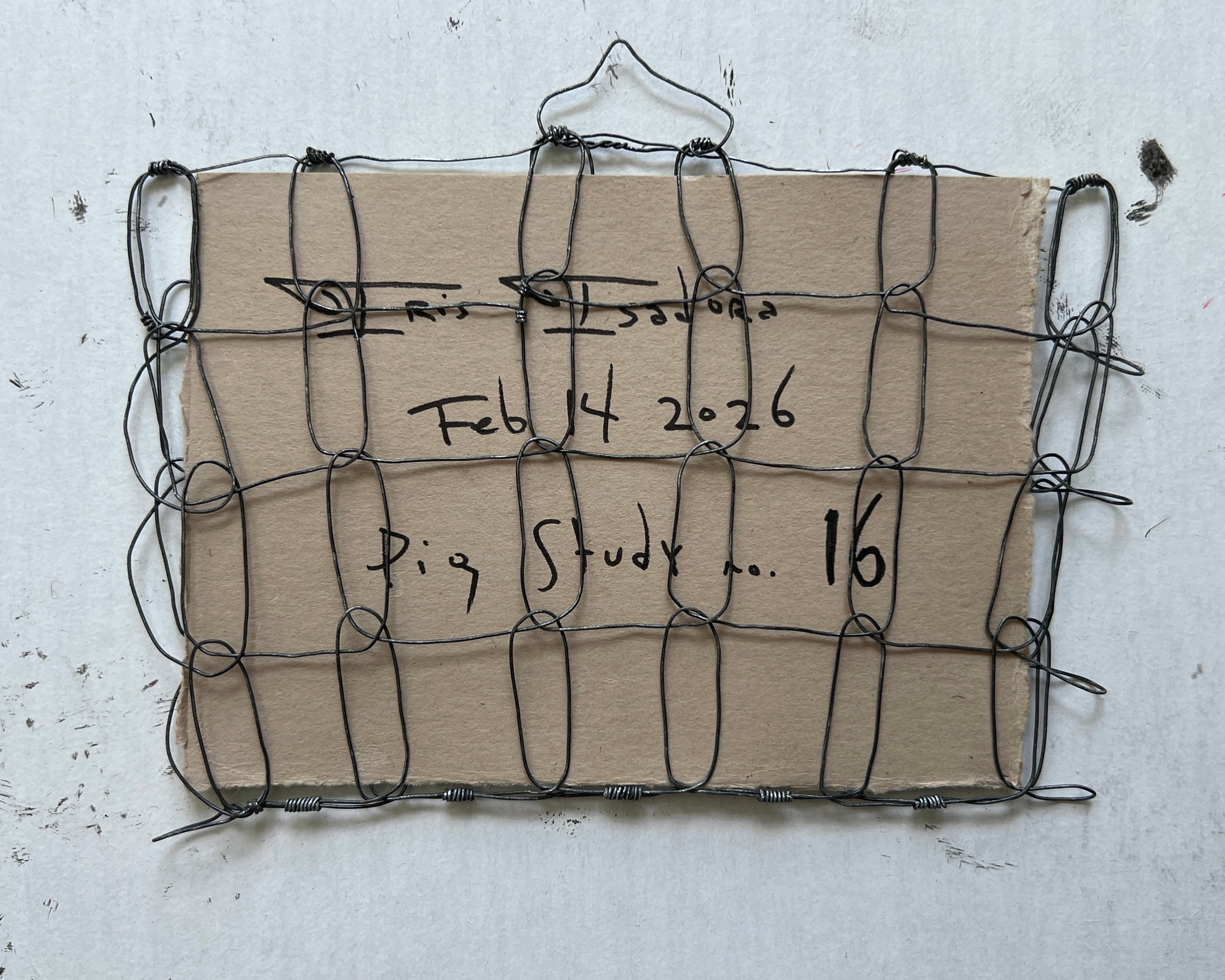 Wire Frame no. 4 for Pig Study no. 16