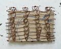 Wire Frame no. 3 for Pig Study no. 5
