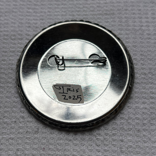 "A Warning Rejected" Pin