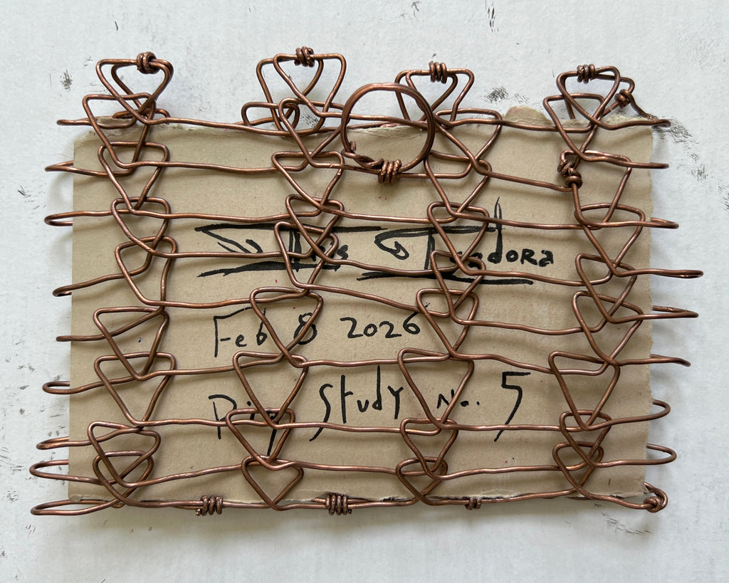 Wire Frame no. 3 for Pig Study no. 5