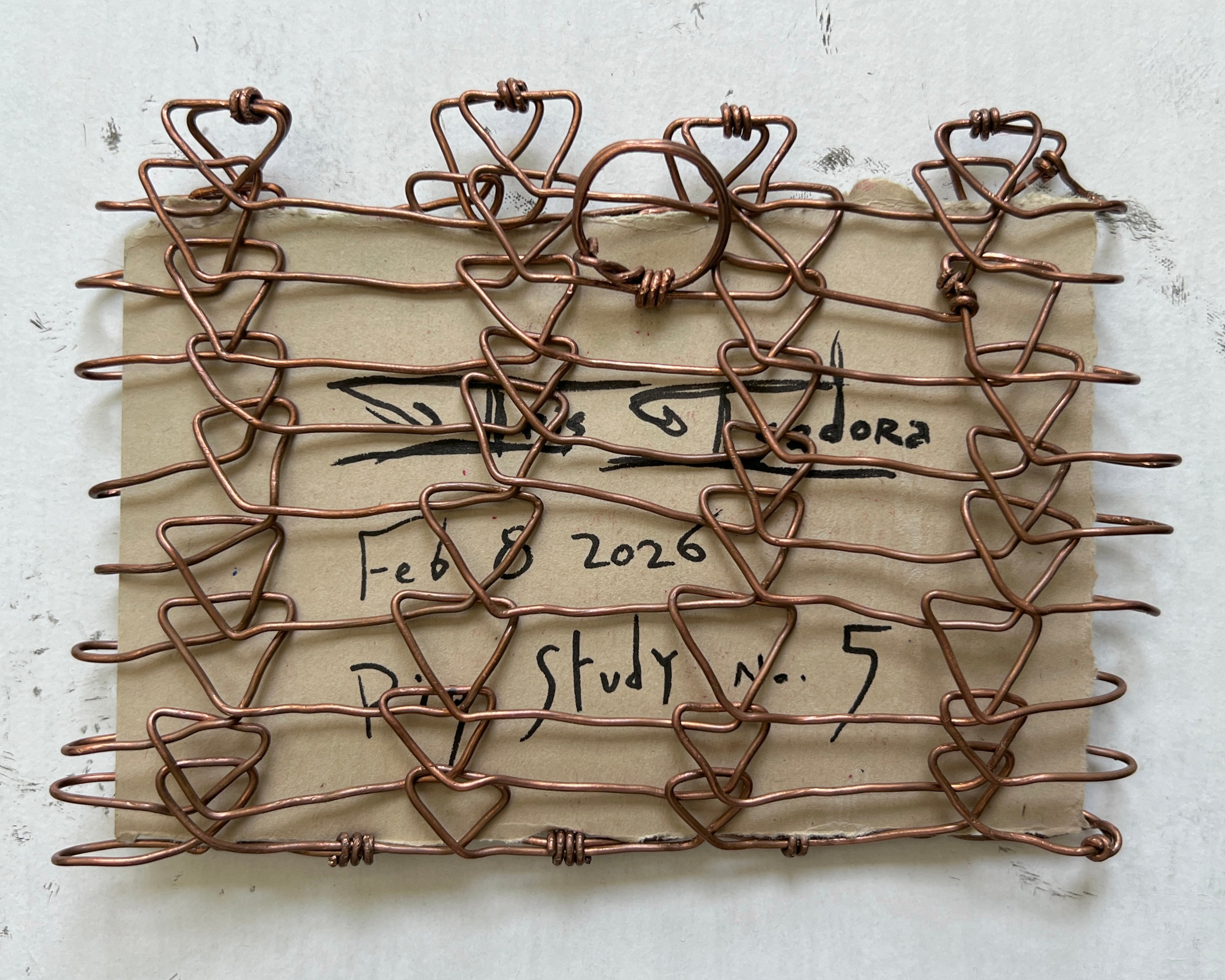 Wire Frame no. 3 for Pig Study no. 5