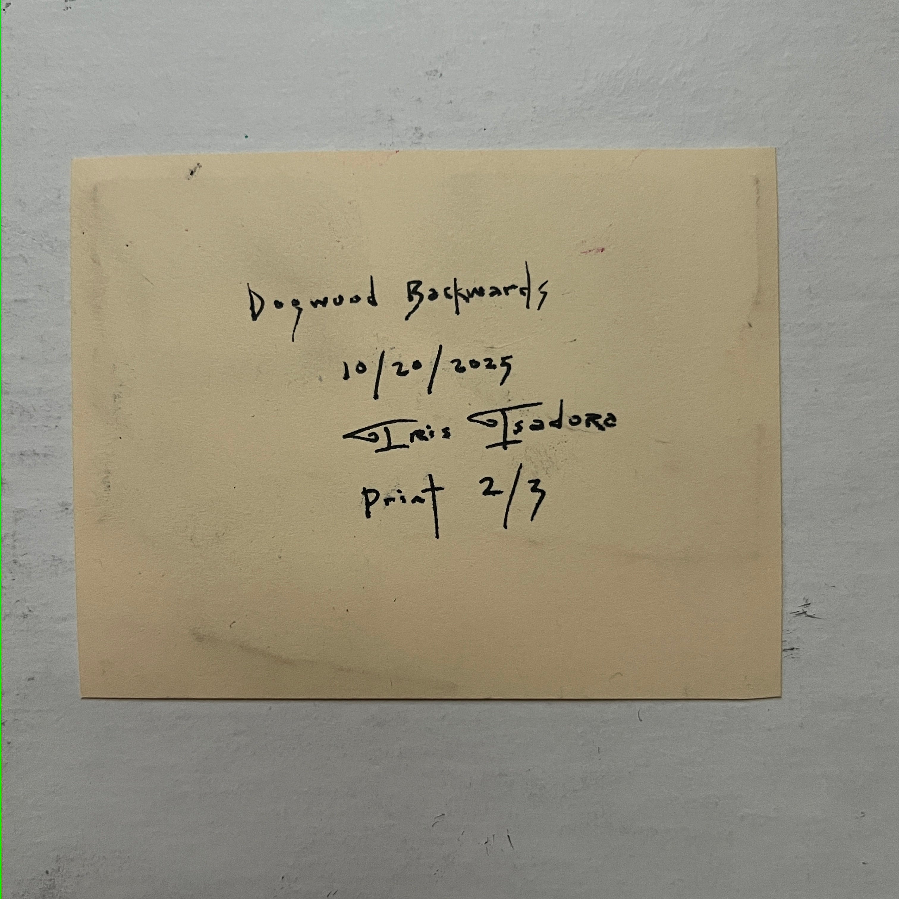 "Dogwood Backwards" Print