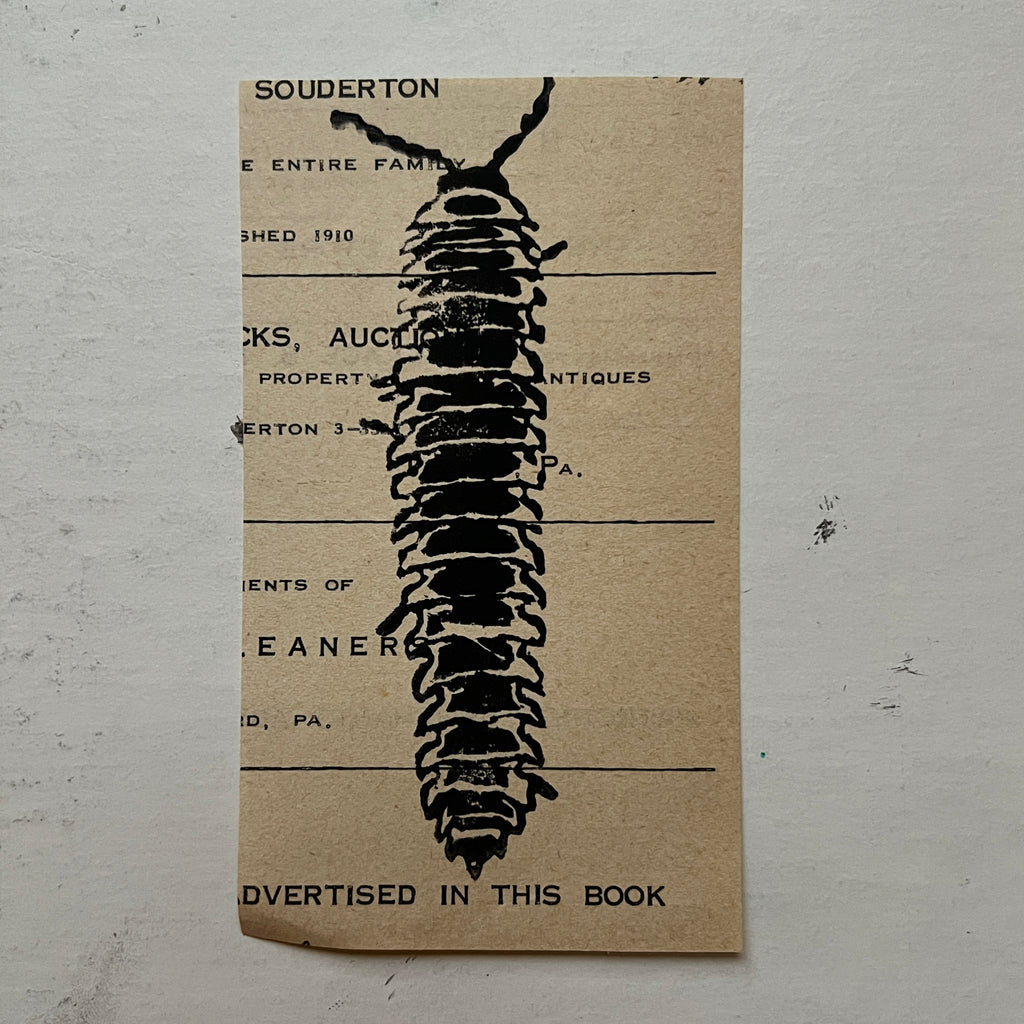 "Millipede" Print