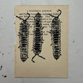 "Millipede" Print