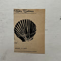 "Scallop" Print