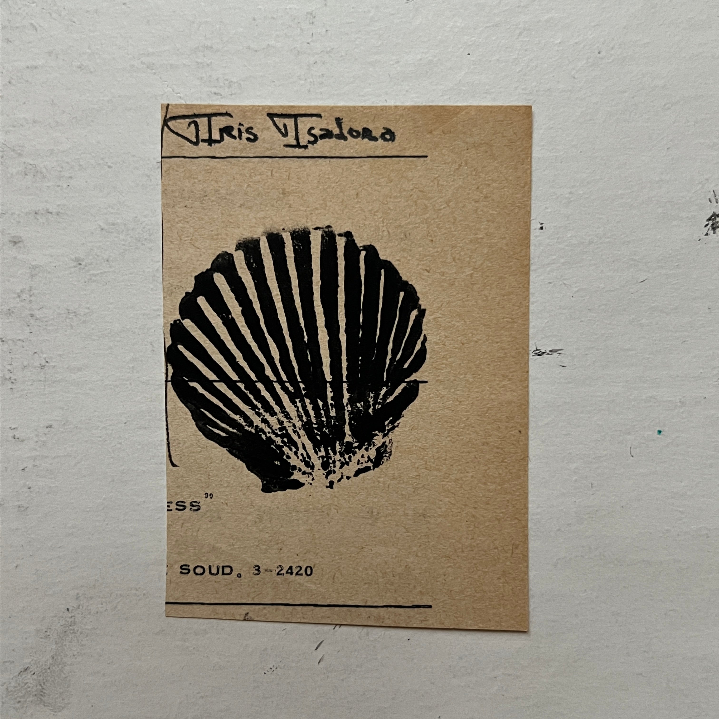 "Scallop" Print