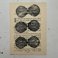 "Scallop" Print