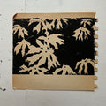 "Umbrella Plant" Print