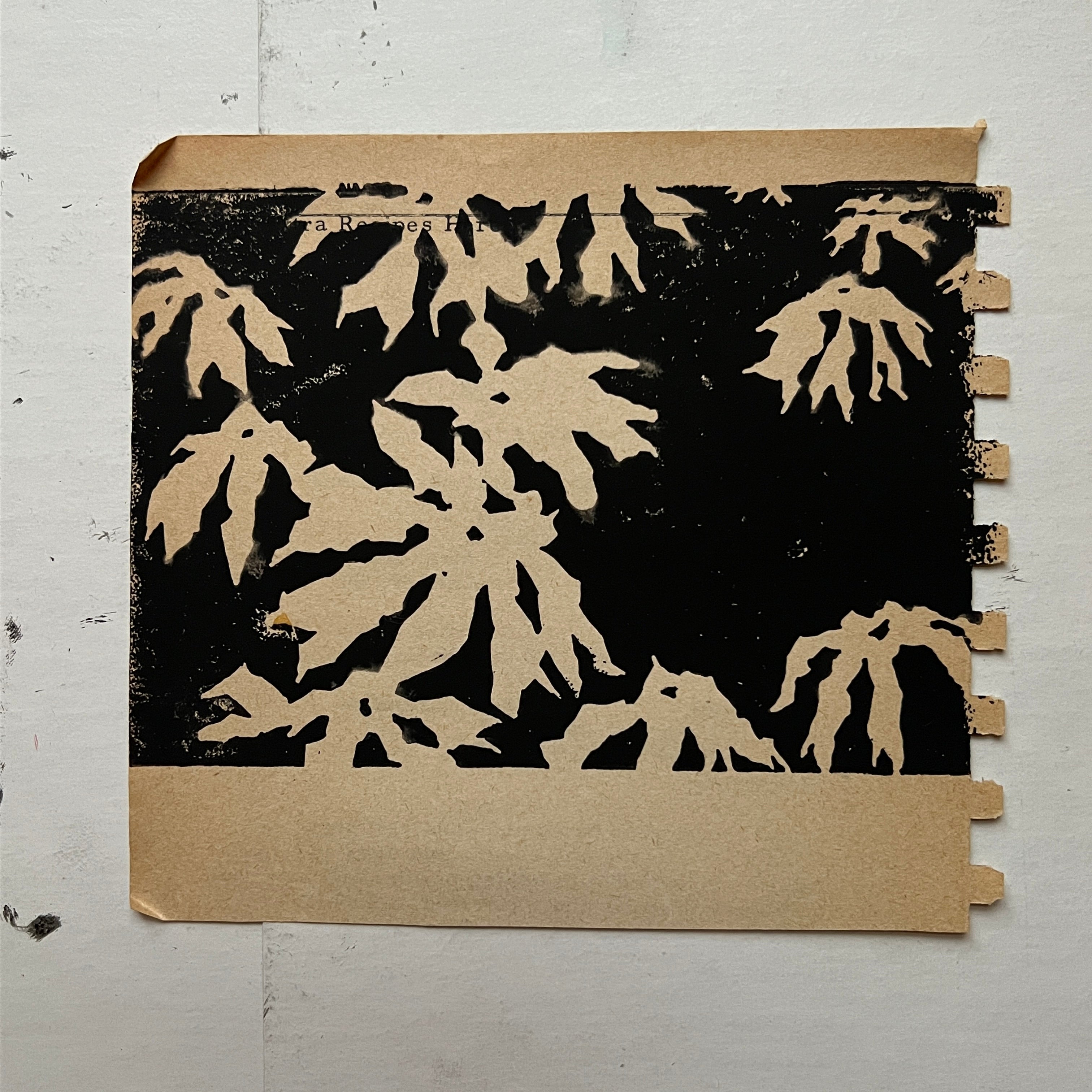 "Umbrella Plant" Print