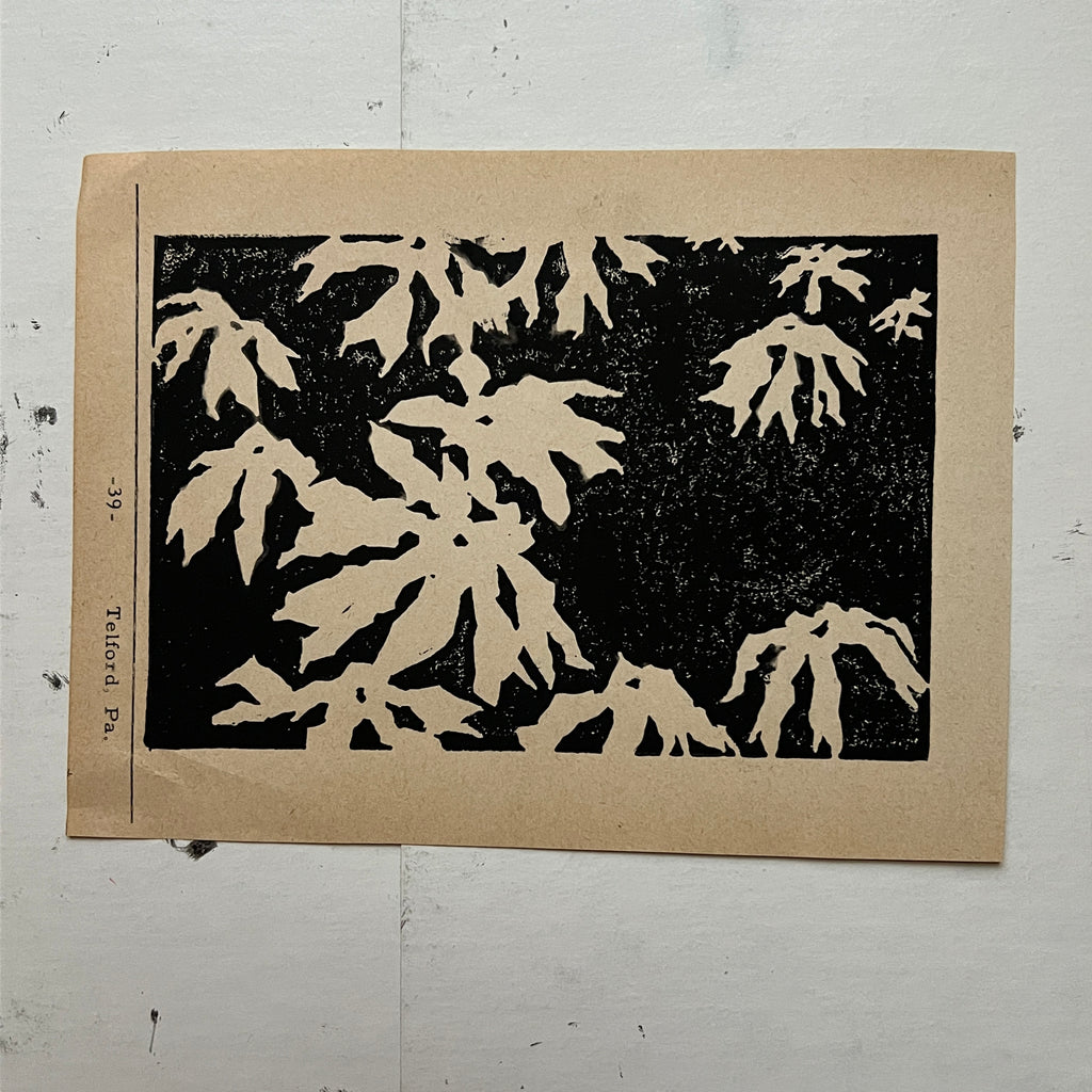 "Umbrella Plant" Print