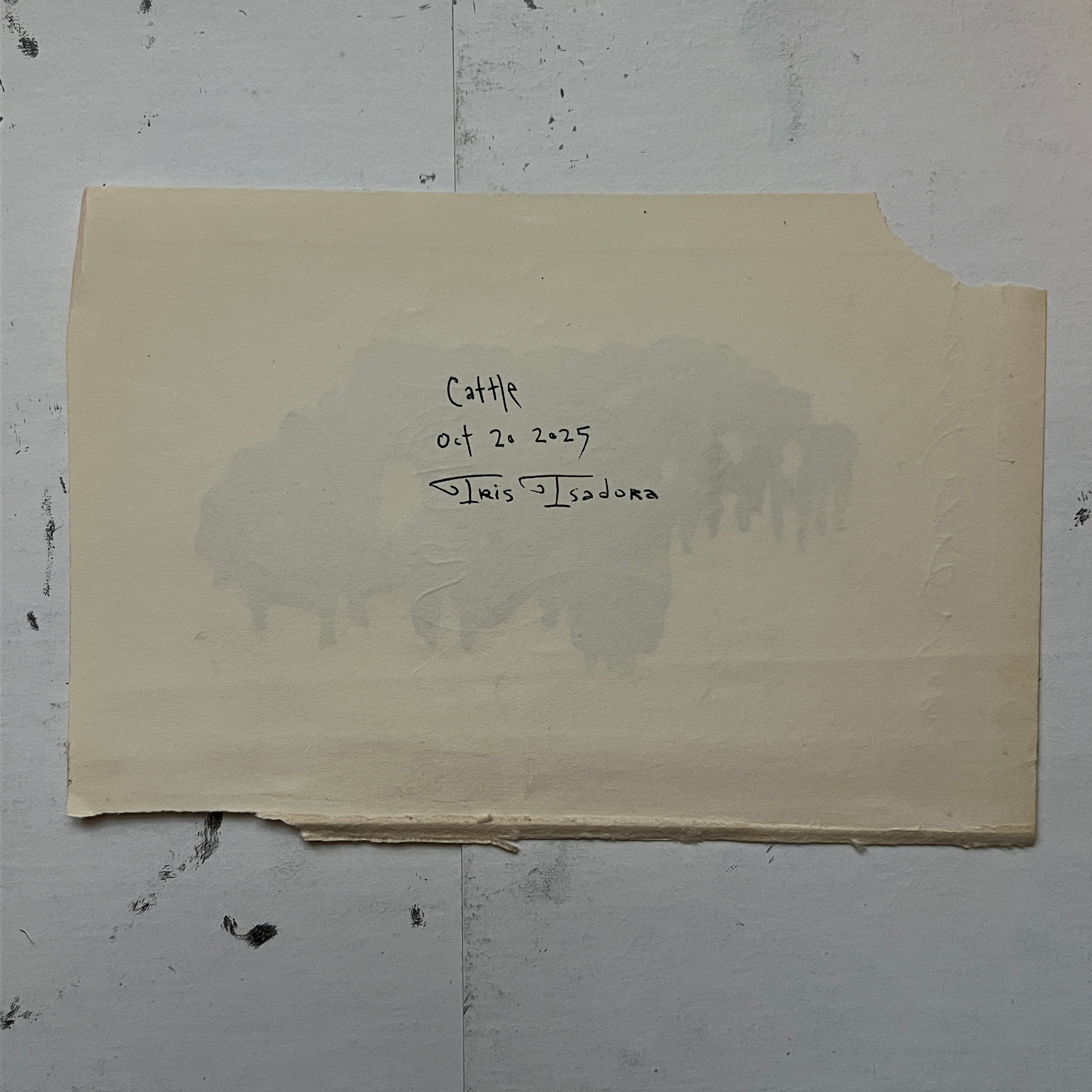 "Cattle" Print