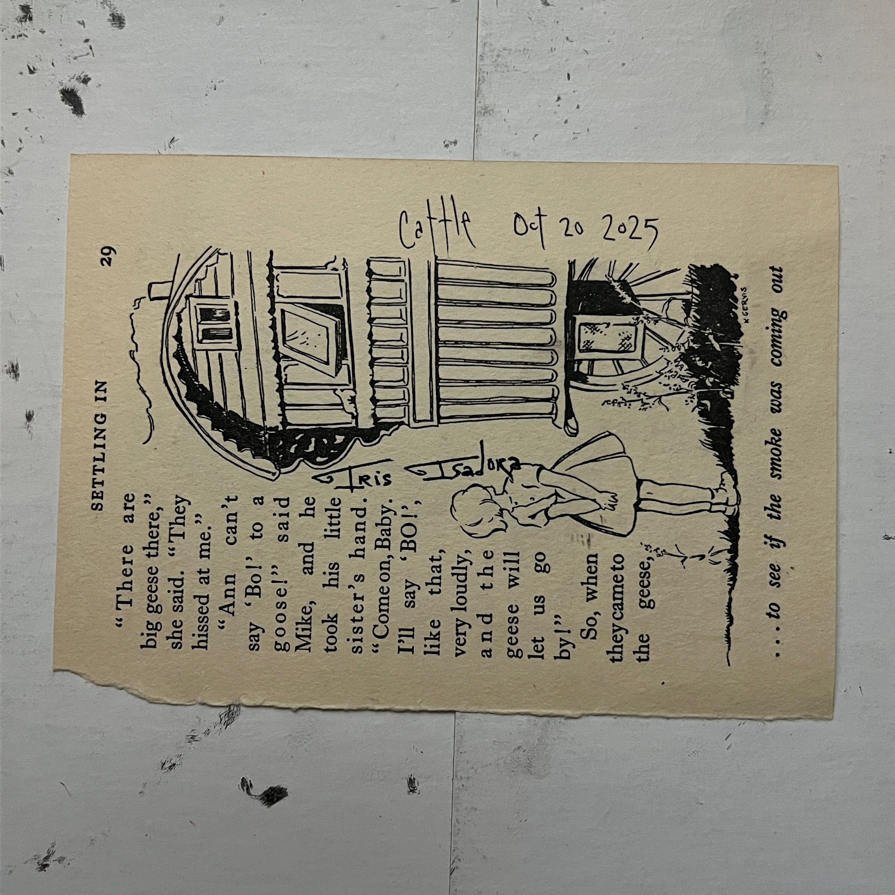 "Cattle" Print