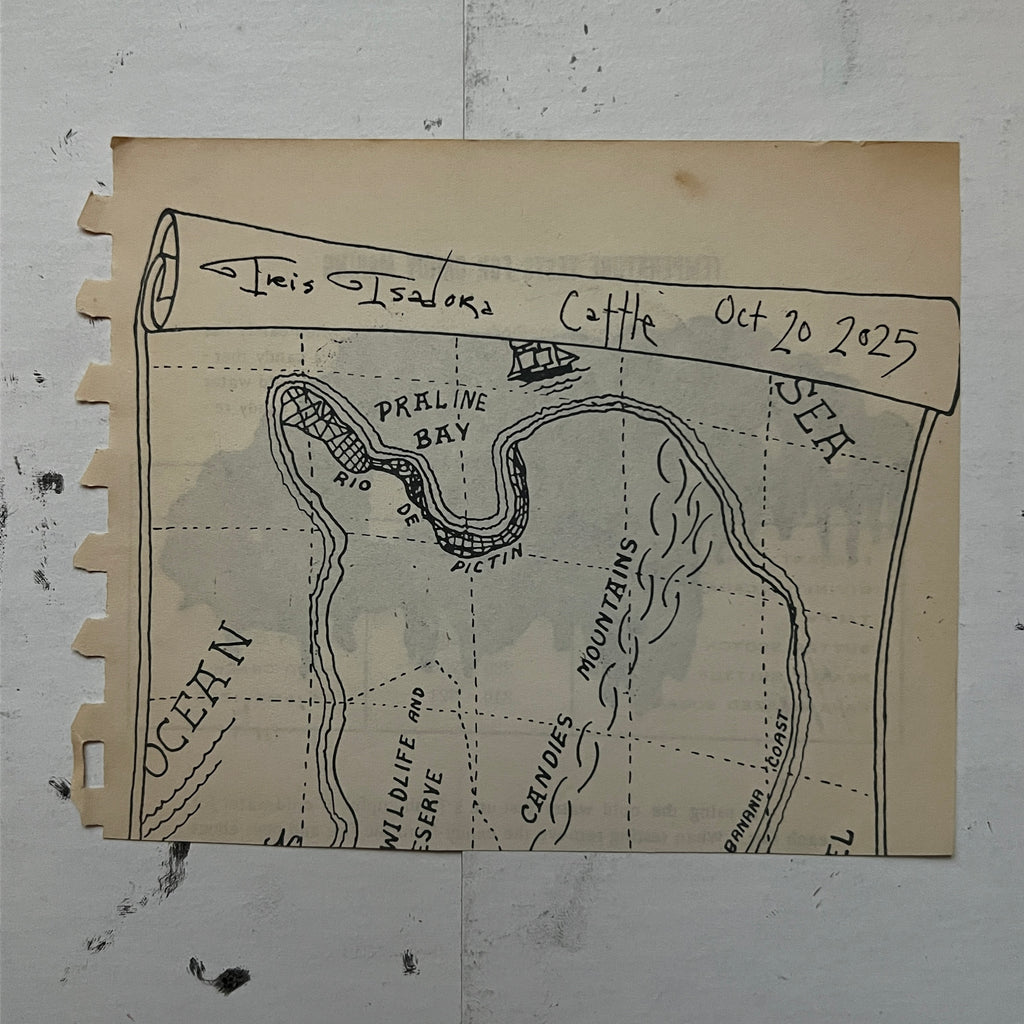 "Cattle" Print