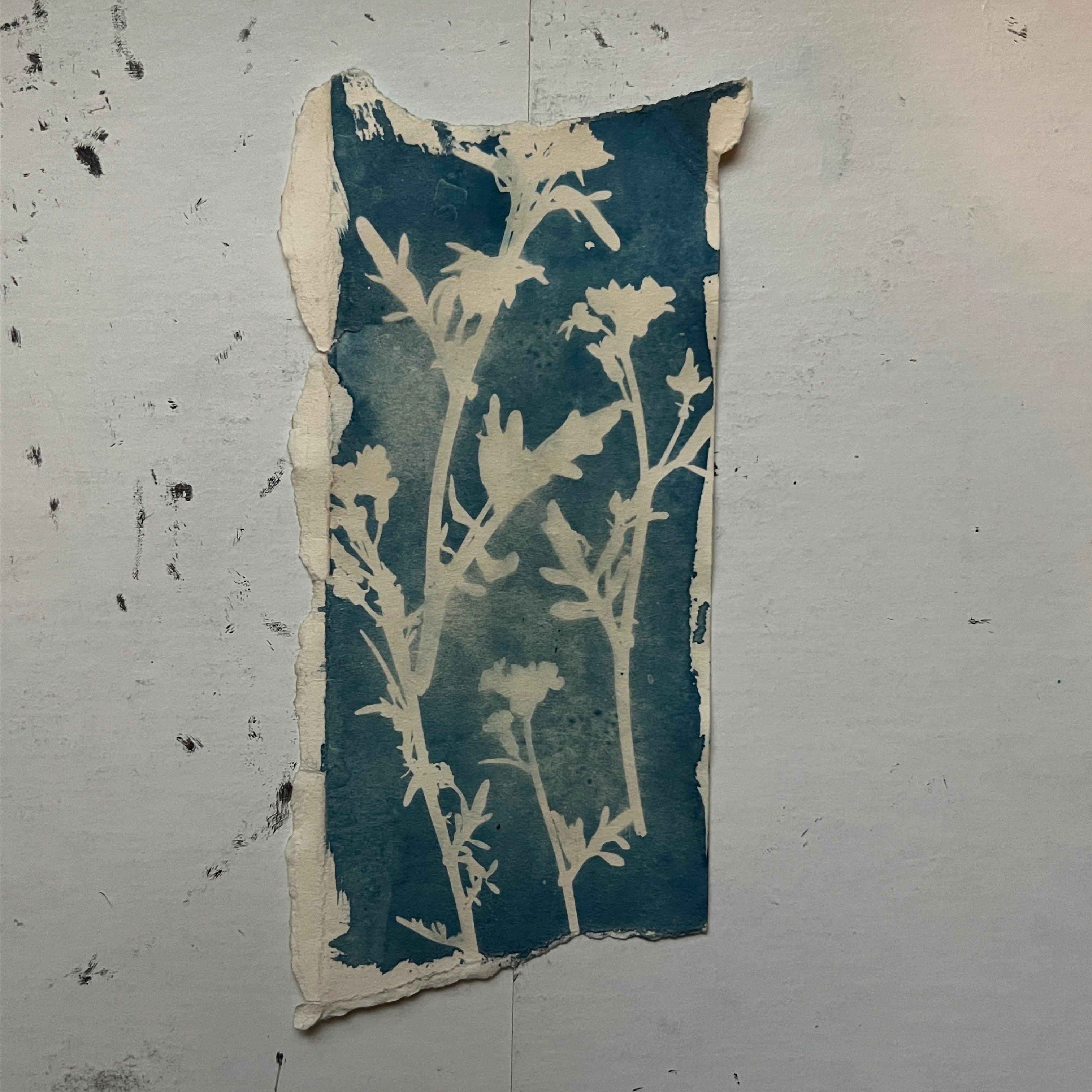 Floral Cyanotype