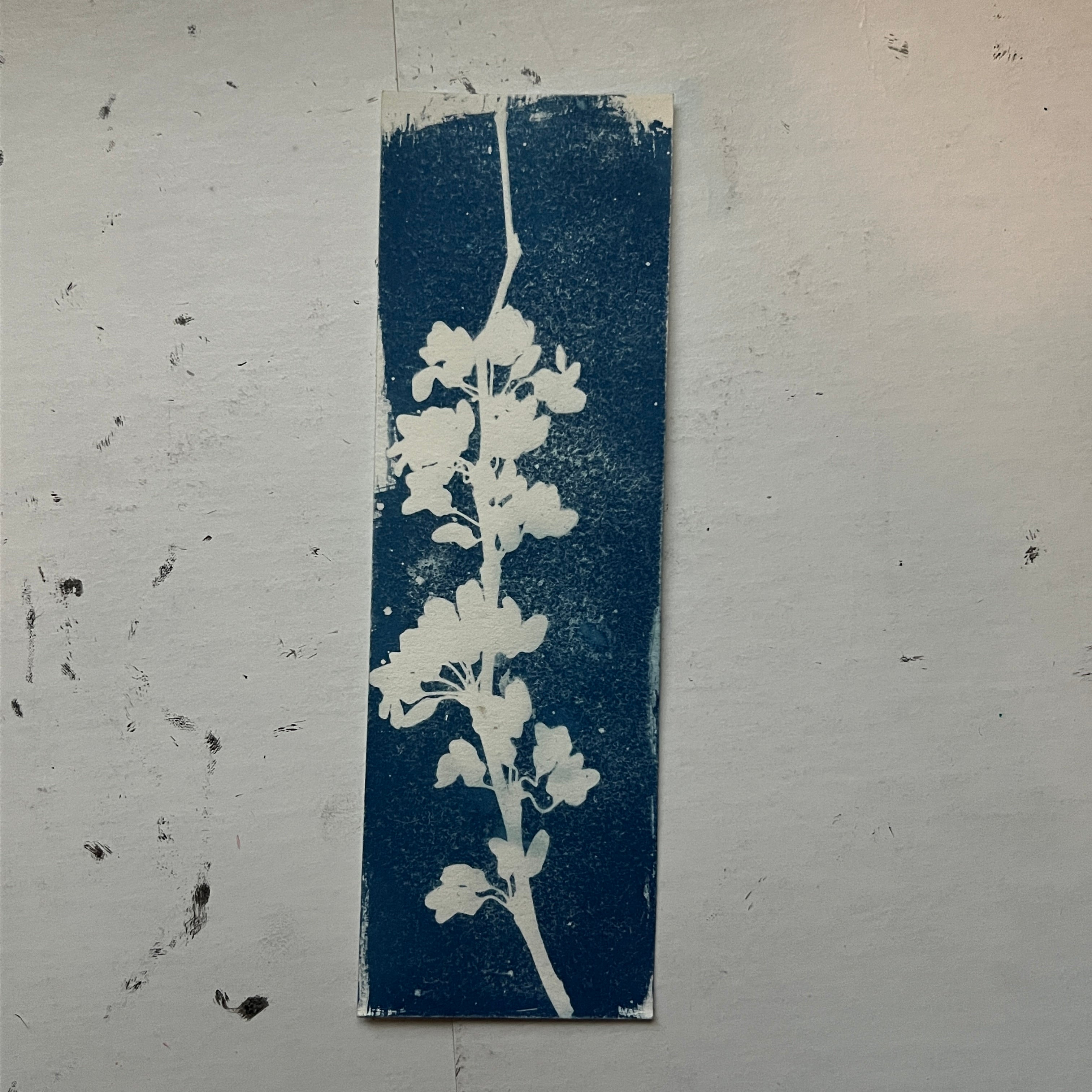 Floral Cyanotype