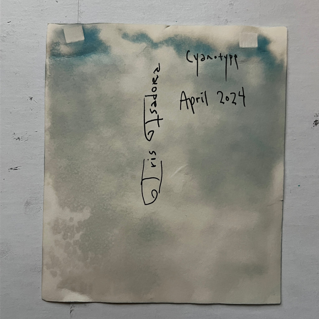 Fiddlehead Cyanotype