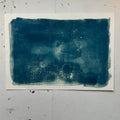 Dobsonfly Cyanotype