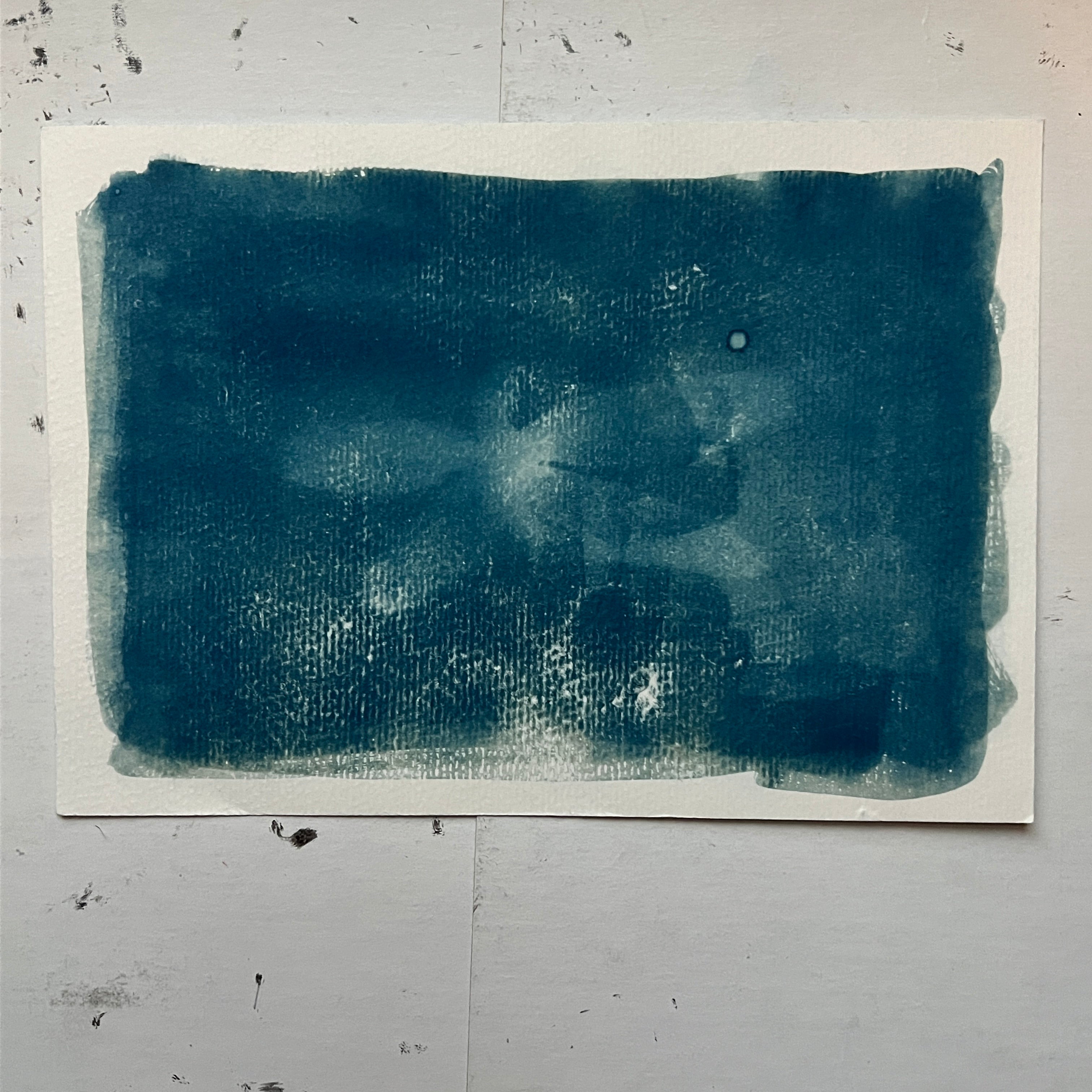 Dobsonfly Cyanotype