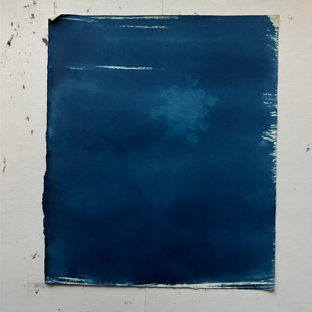 Floral Cyanotype