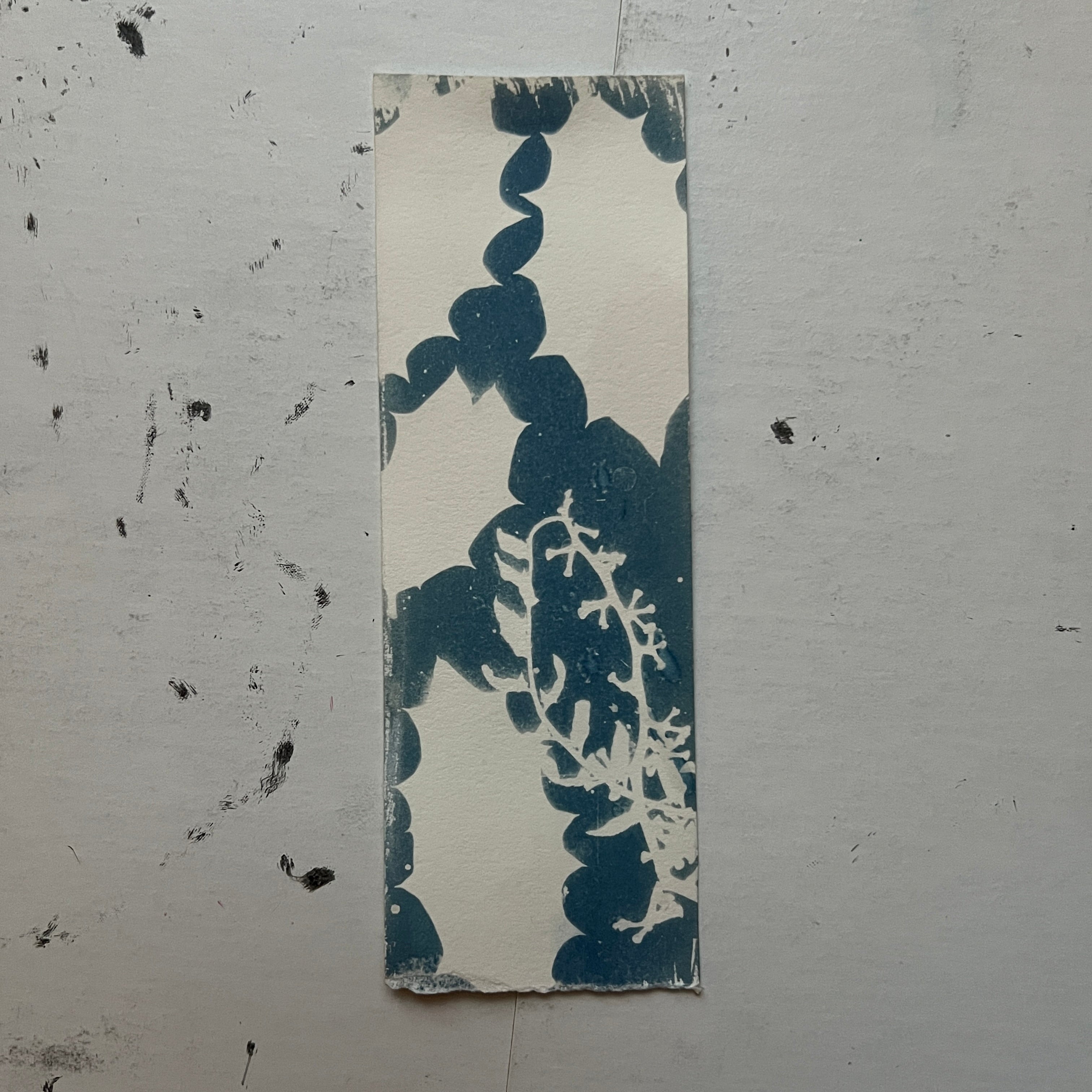Holly Cyanotype