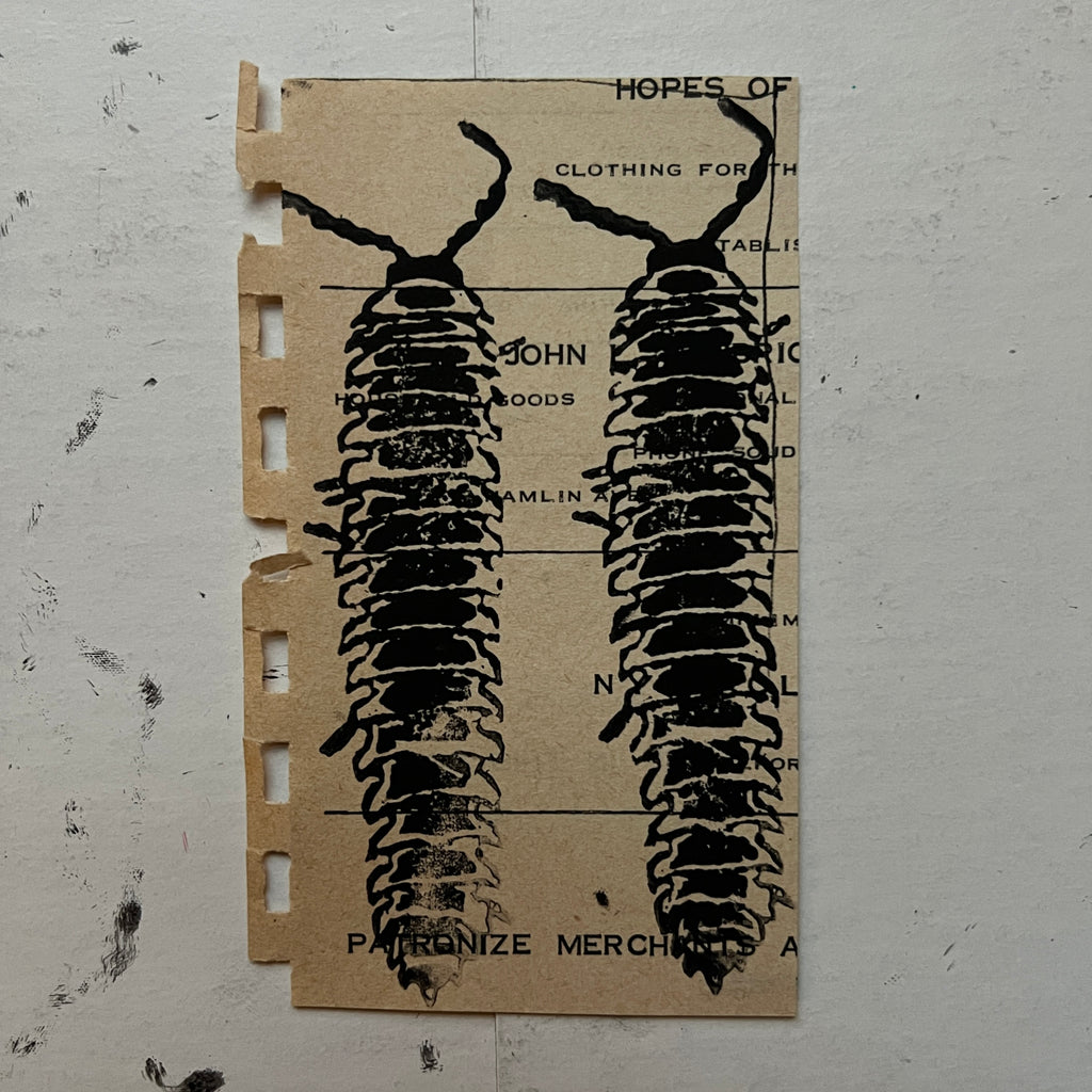 "Millipede" Print