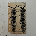 "Millipede" Print